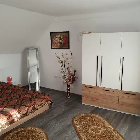 Casa Cristea * Daneş
