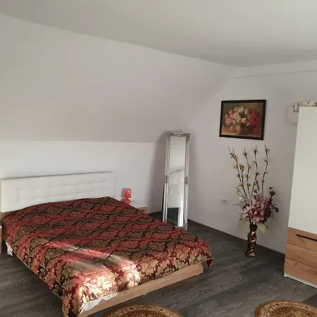 Oda ve Kahvaltı Casa Cristea *